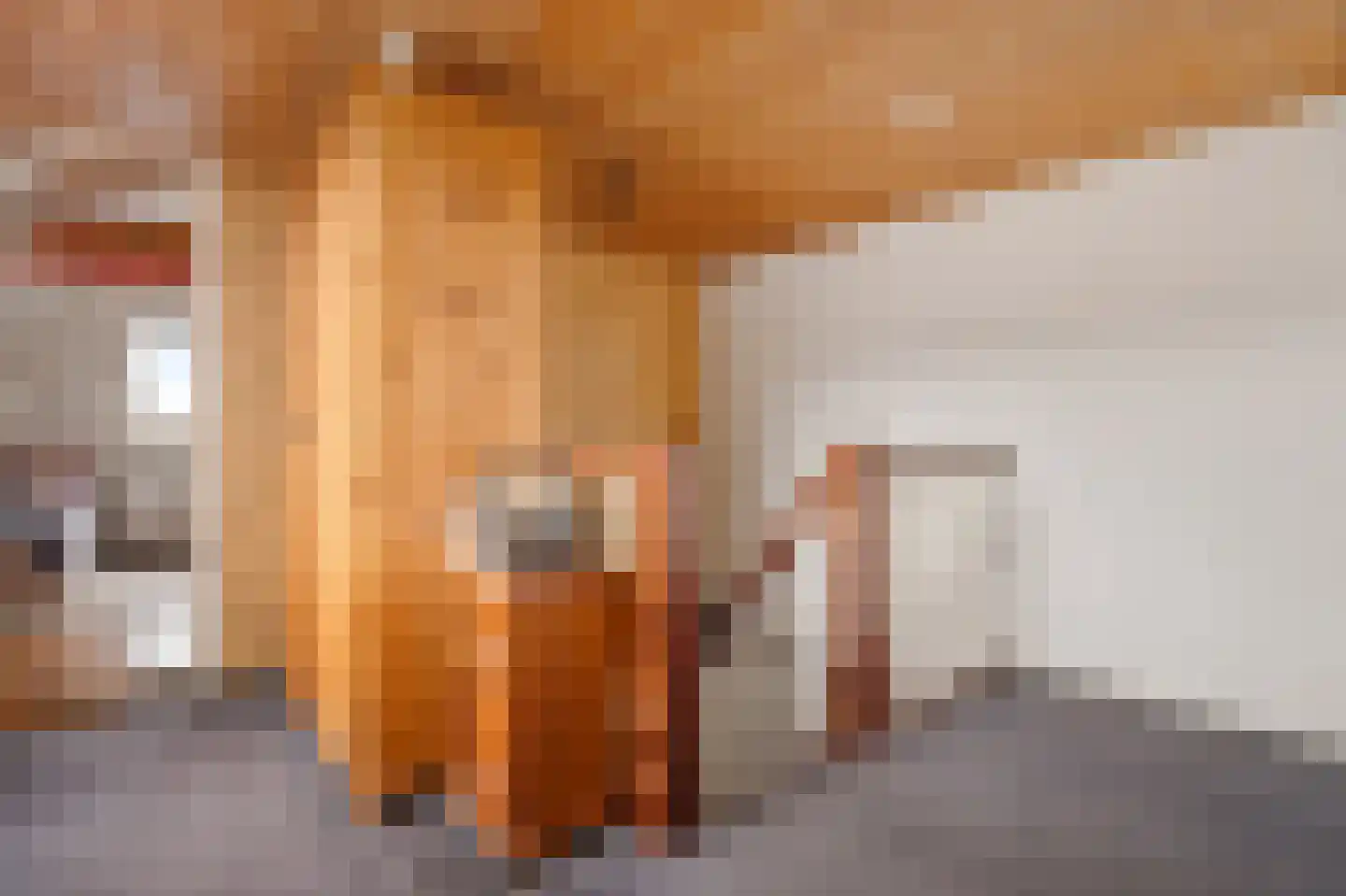 Hoofdkade 132 Stadskanaal thumbnail 9