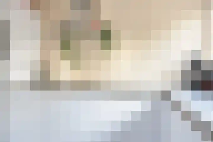 Hoofdkade 146 Stadskanaal thumbnail 17