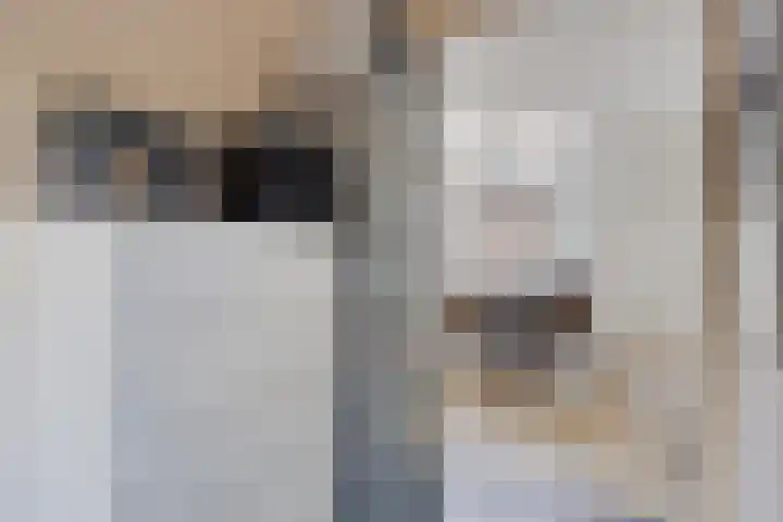 Hoofdkade 146 Stadskanaal thumbnail 18