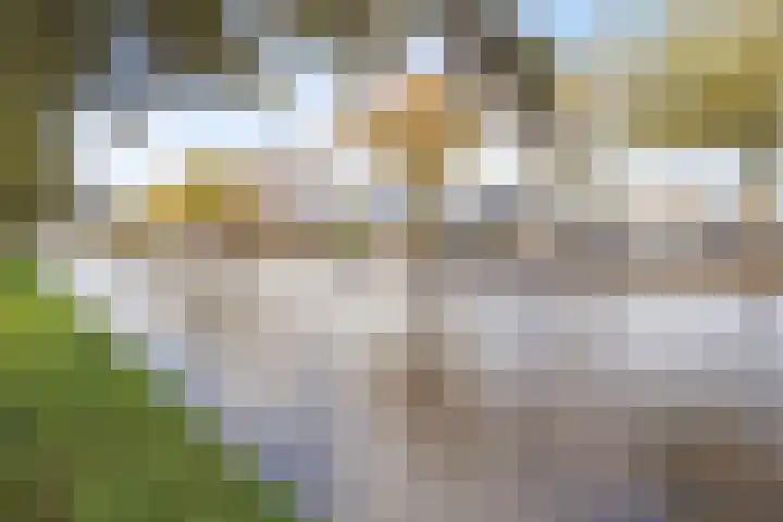 Hoofdkade 146 Stadskanaal thumbnail 38