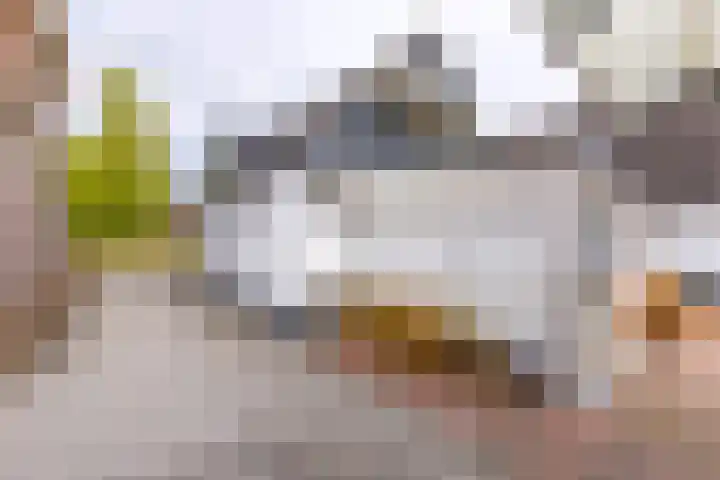 Hoofdkade 15 Stadskanaal thumbnail 34
