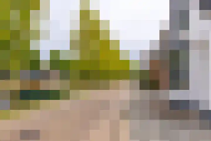 Hoofdkade 15 Stadskanaal thumbnail 4