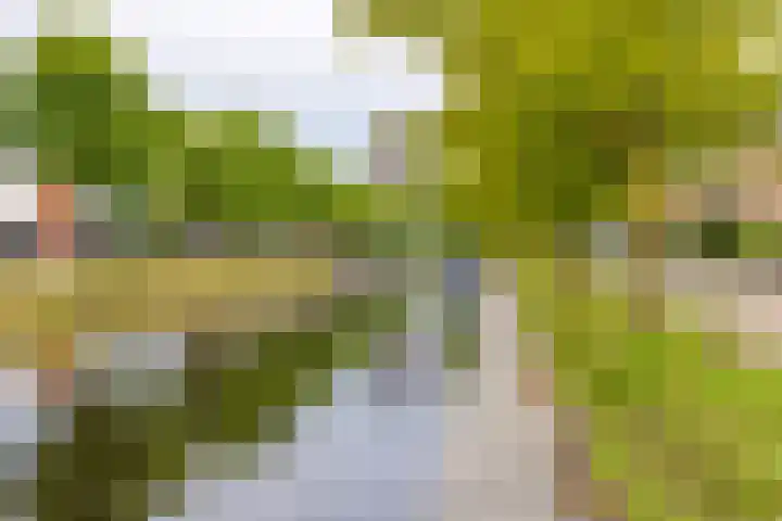 Hoofdkade 15 Stadskanaal thumbnail 6