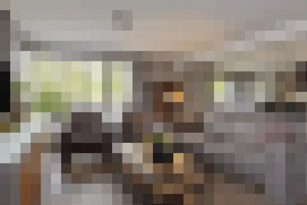 Hoofdkade 24 Ter Apel thumbnail 11