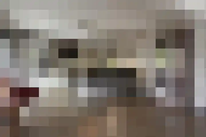 Hoofdkade 24 Ter Apel thumbnail 17