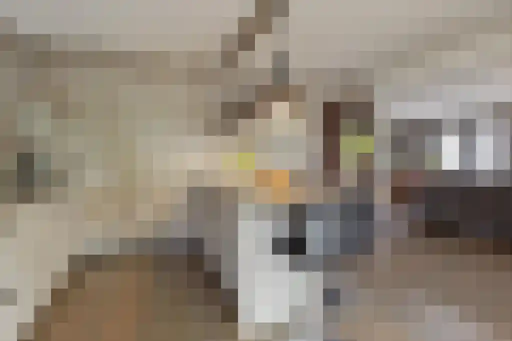 Hoofdkade 24 Ter Apel thumbnail 18