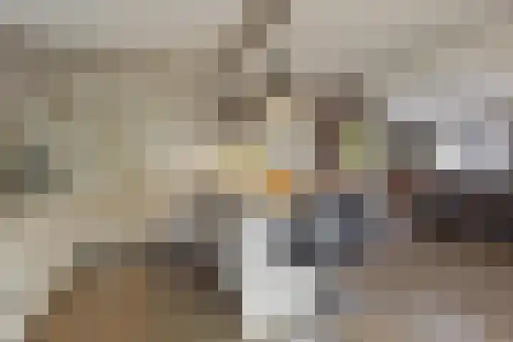 Hoofdkade 24 Ter Apel thumbnail 18