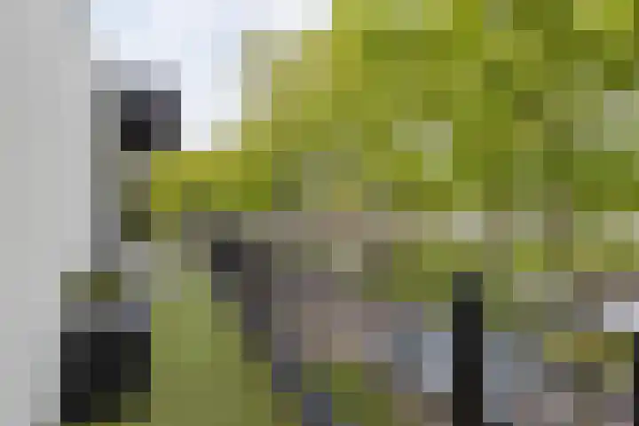 Hoofdkade 24 Ter Apel thumbnail 27