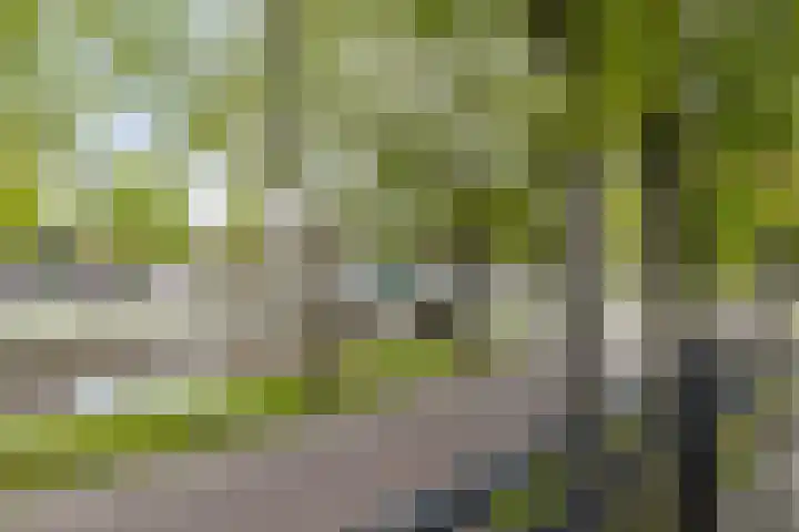 Hoofdkade 24 Ter Apel thumbnail 28