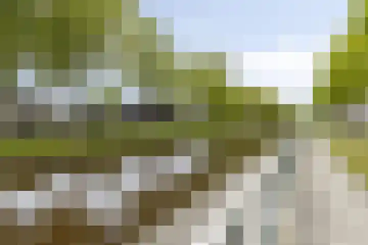 Hoofdkade 24 Ter Apel thumbnail 31
