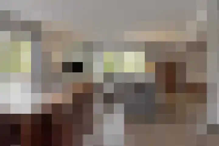 Hoofdkade 24 Ter Apel thumbnail 7
