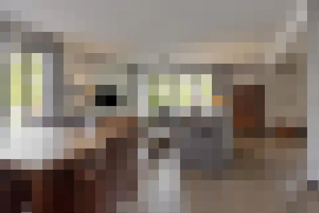 Hoofdkade 24 Ter Apel thumbnail 7