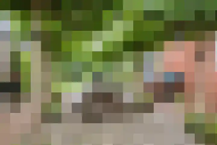 Hoofdkade 55 Stadskanaal thumbnail 38