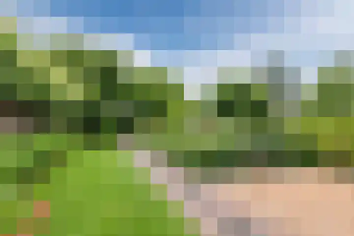 Hoofdkade 55 Stadskanaal thumbnail 39