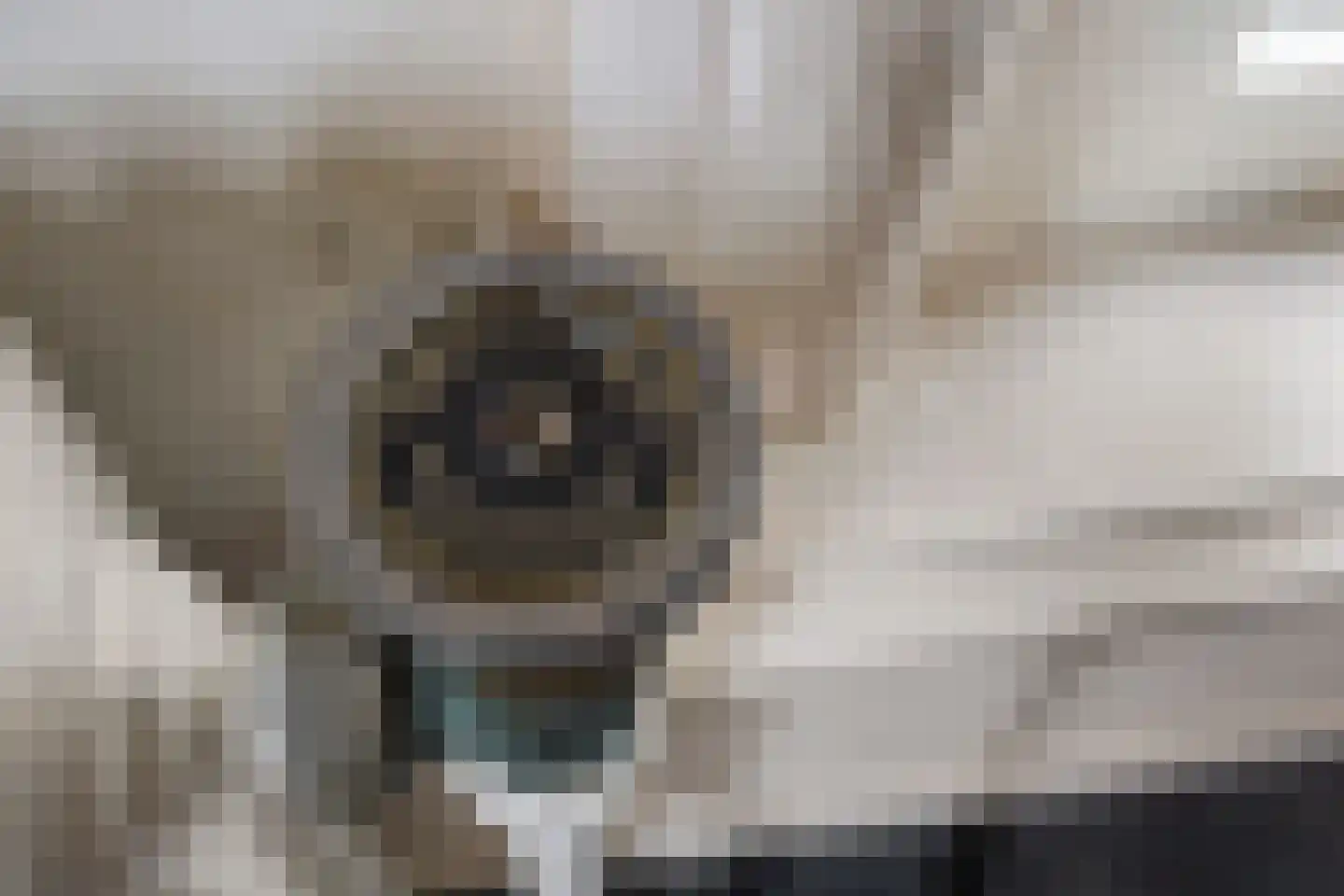 Hoofdkade 7 Ter Apel thumbnail 25