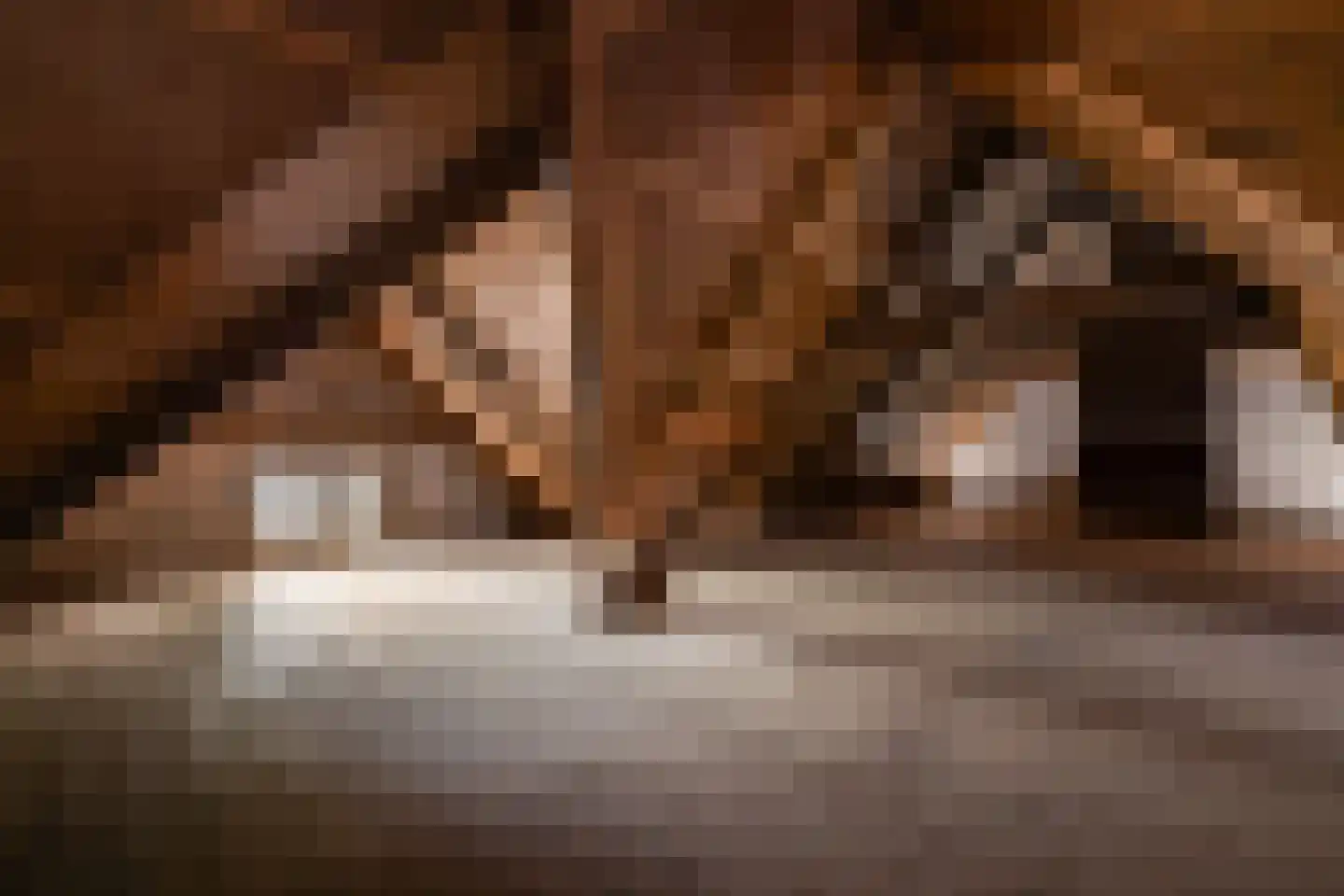 Hoofdkade 7 Ter Apel thumbnail 33