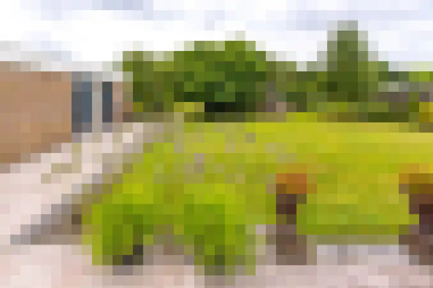 Hoofdkade 88 Stadskanaal thumbnail 57