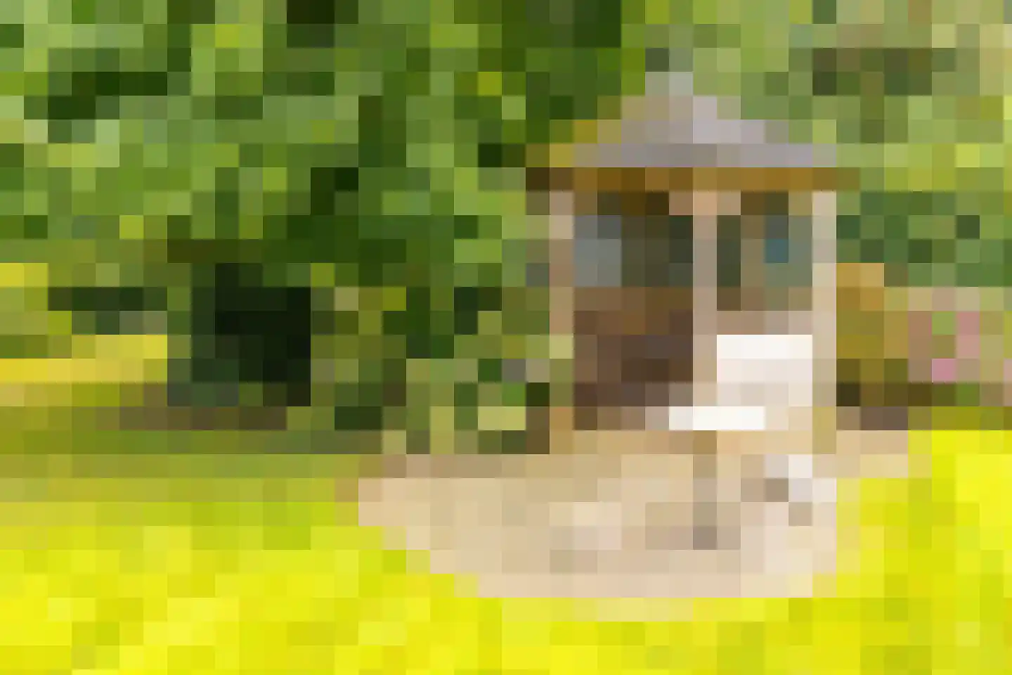 Hoofdkade 88 Stadskanaal thumbnail 61