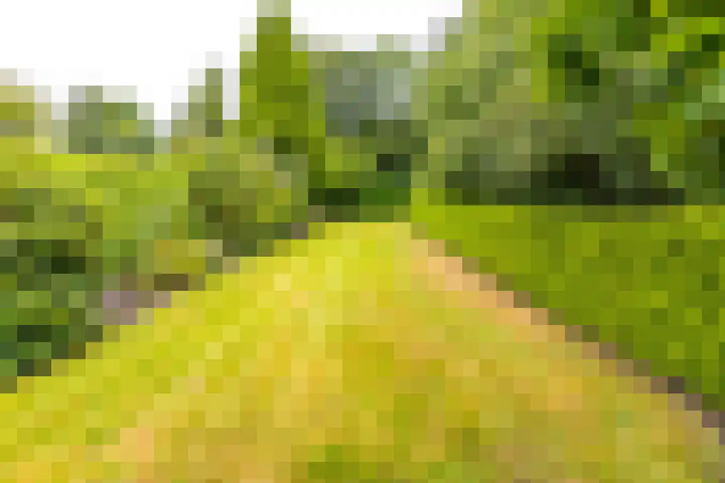 Hoofdkade 88 Stadskanaal thumbnail 62