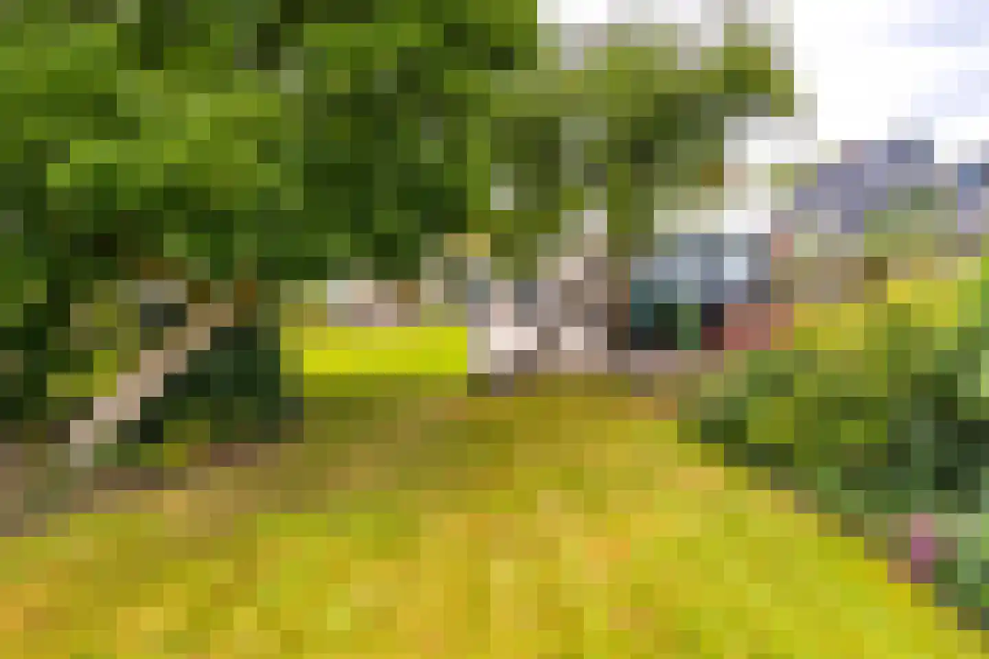 Hoofdkade 88 Stadskanaal thumbnail 63