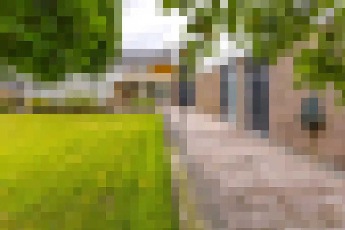 Hoofdkade 88 Stadskanaal thumbnail 64