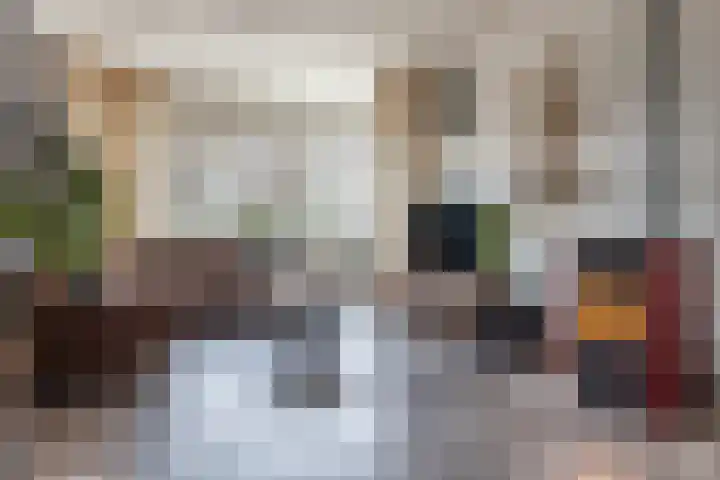 Hoofdkade 91 Stadskanaal thumbnail 11