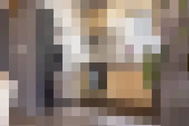 Hoofdkade 91 Stadskanaal thumbnail 17