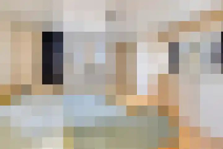 Hoofdkade 93 Ter Apel thumbnail 16