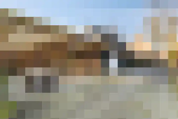 Hoofdkade 93 Ter Apel thumbnail 29