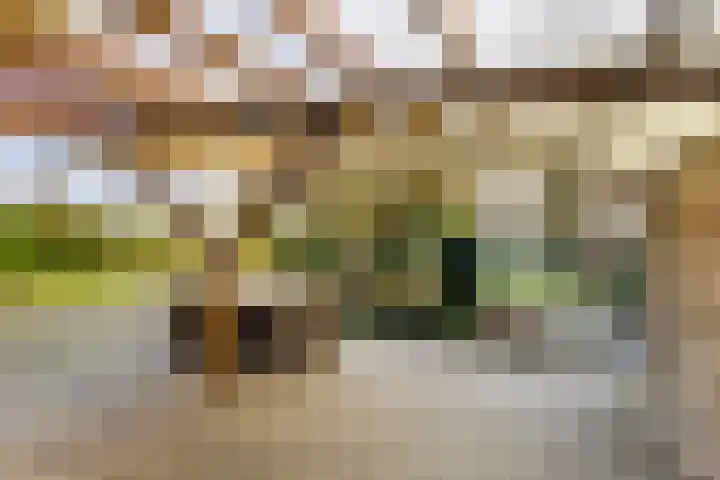 Hoofdkade 93 Ter Apel thumbnail 31
