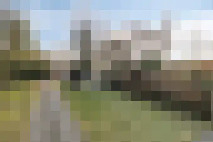 Hoofdkade 93 Ter Apel thumbnail 35