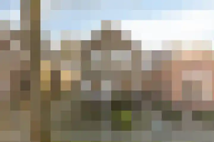 Hoofdkade 93 Ter Apel thumbnail 39