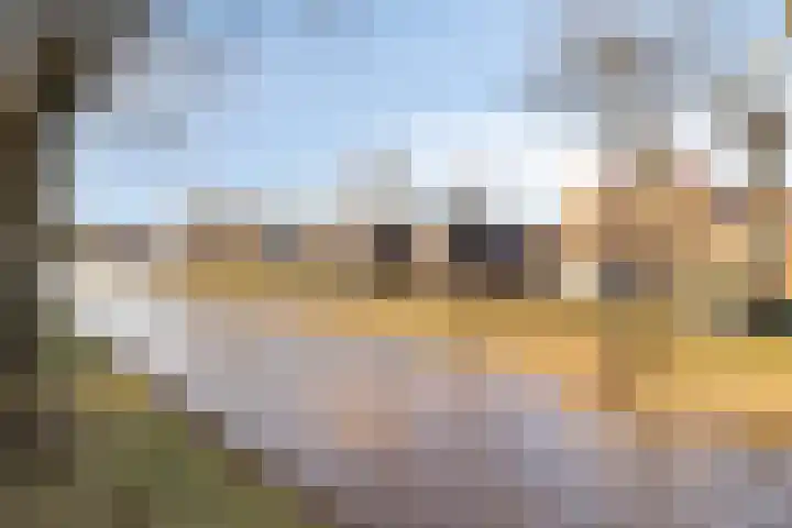 Hoofdkade 93 Ter Apel thumbnail 43