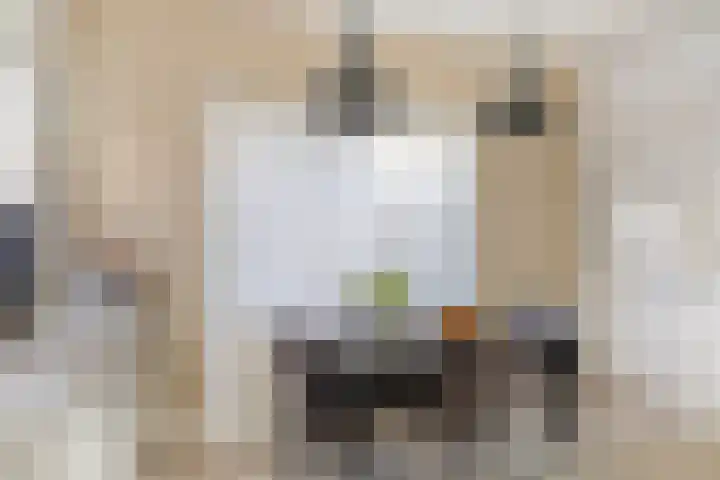 Hoofdkade 93 Ter Apel thumbnail 8