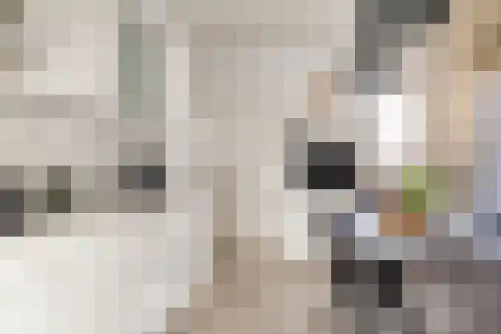 Hoofdkade 93 Ter Apel thumbnail 9