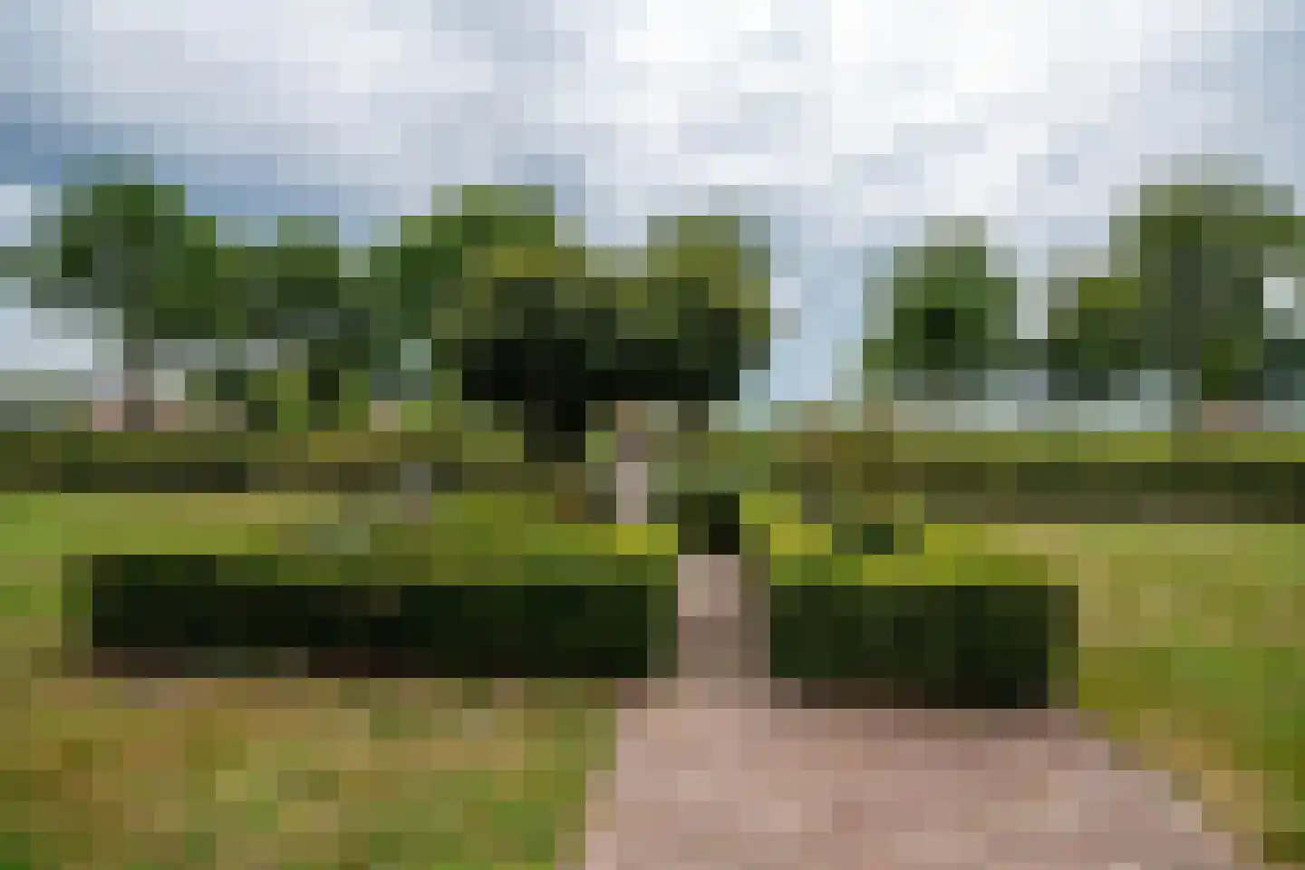Hoofdkanaal OZ 109 Emmer-Compascuum thumbnail 4