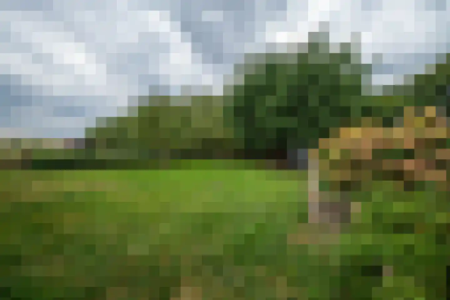 Hoofdkanaal OZ 109 Emmer-Compascuum thumbnail 54