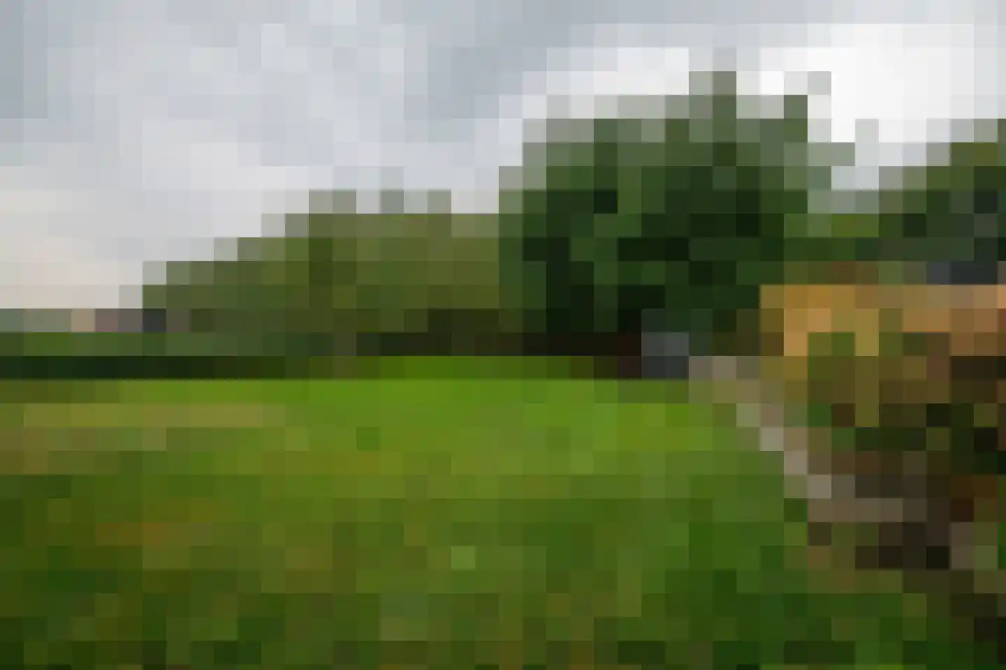 Hoofdkanaal OZ 109 Emmer-Compascuum thumbnail 59