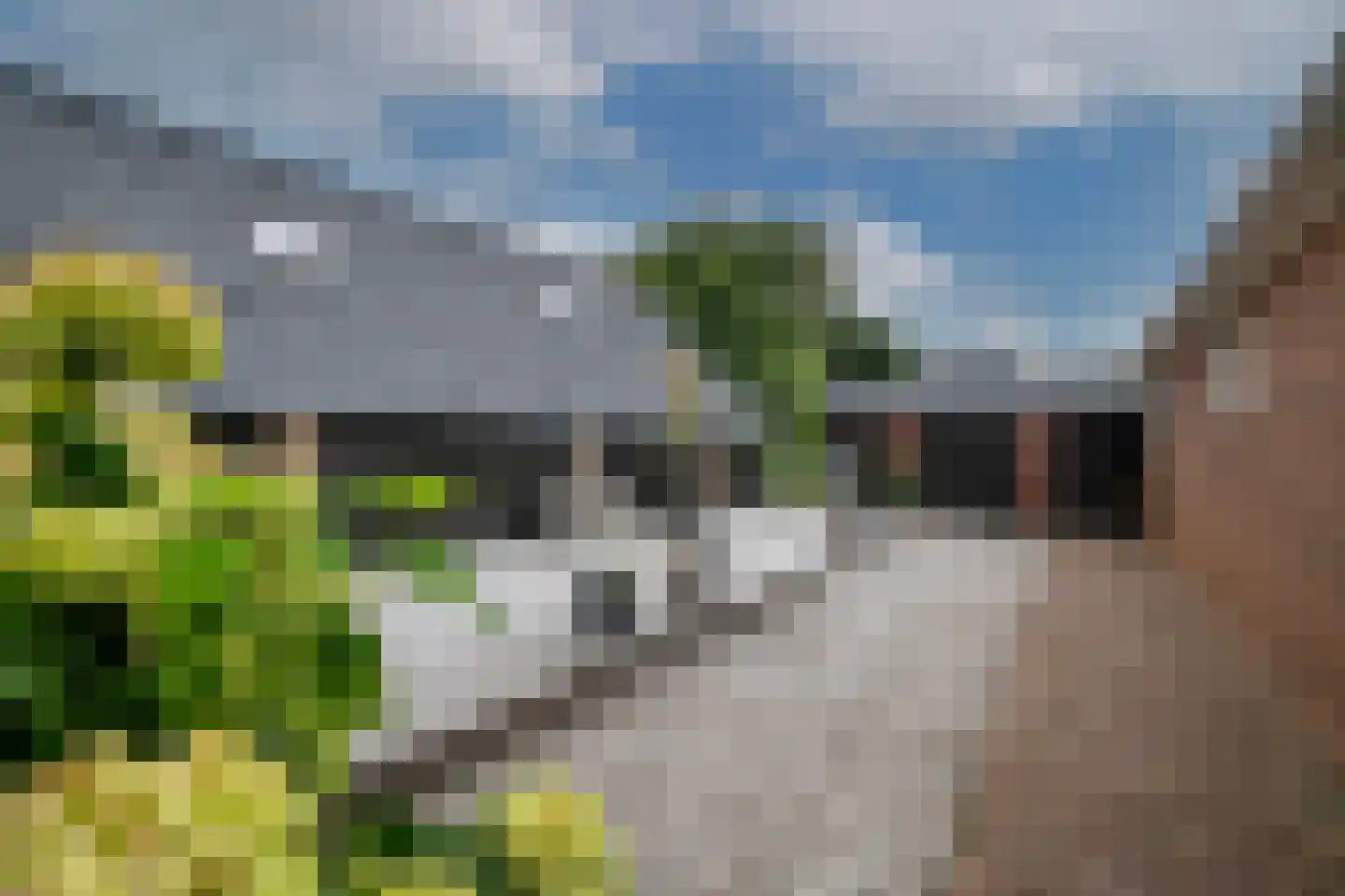 Hoofdkanaal OZ 109 Emmer-Compascuum thumbnail 61