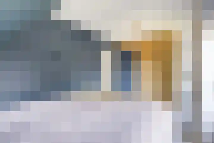 Hoofdkanaal OZ 116 Emmer-Compascuum thumbnail 21