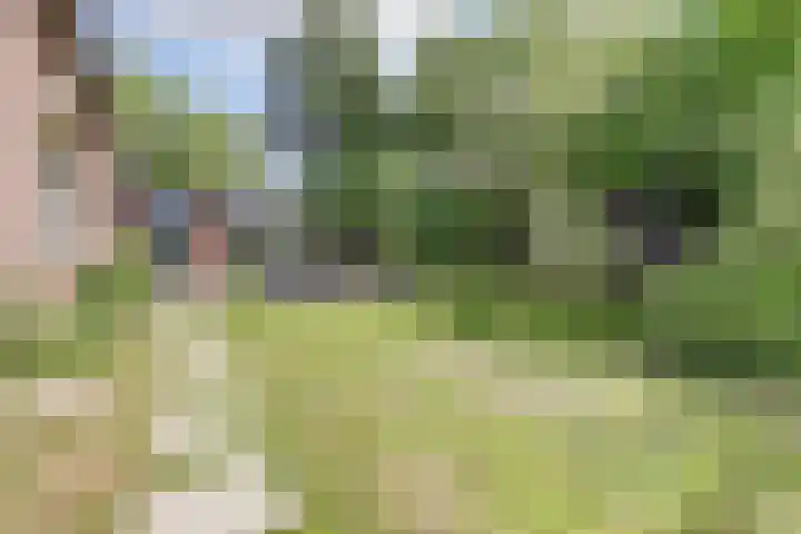 Hoofdkanaal OZ 116 Emmer-Compascuum thumbnail 29