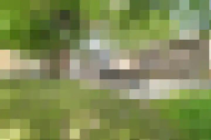 Hoofdkanaal OZ 116 Emmer-Compascuum thumbnail 30