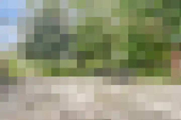 Hoofdkanaal OZ 116 Emmer-Compascuum thumbnail 31
