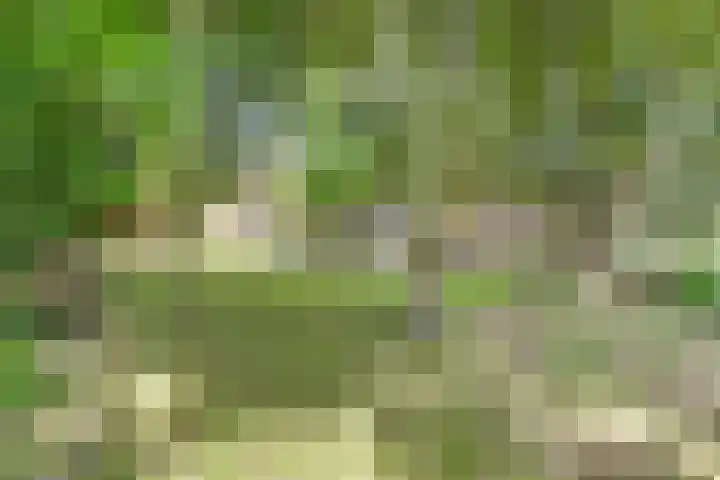 Hoofdkanaal OZ 116 Emmer-Compascuum thumbnail 32