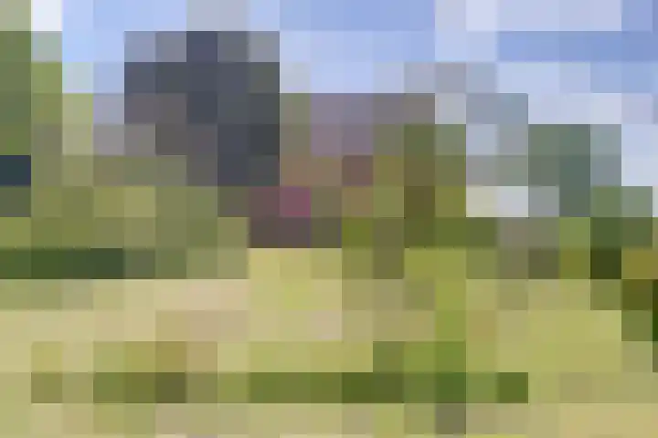 Hoofdkanaal OZ 116 Emmer-Compascuum thumbnail 33