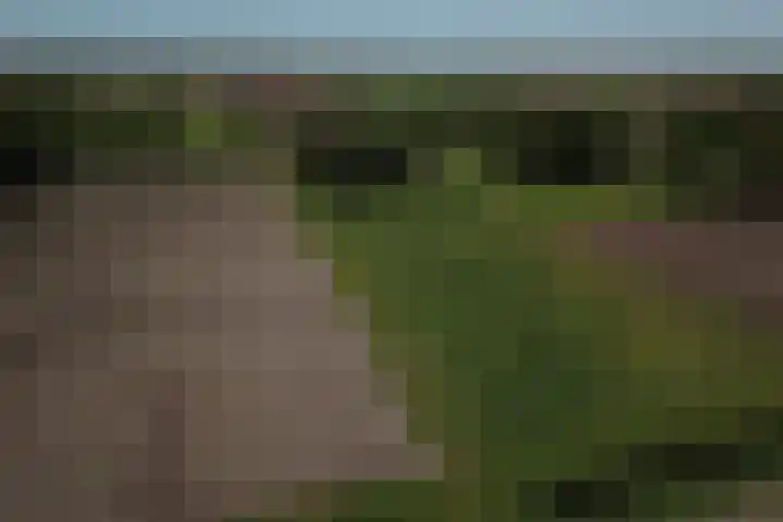 Hoofdkanaal OZ 116 Emmer-Compascuum thumbnail 36