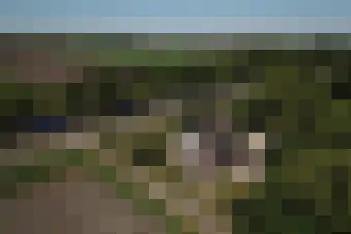 Hoofdkanaal OZ 116 Emmer-Compascuum thumbnail 38