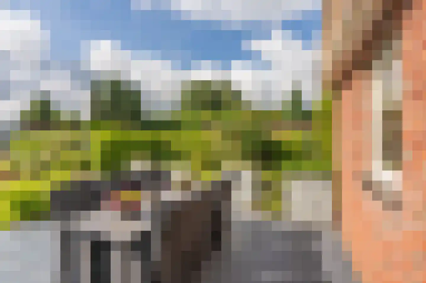 Hoofdkanaal OZ 36 Emmer-Compascuum thumbnail 32