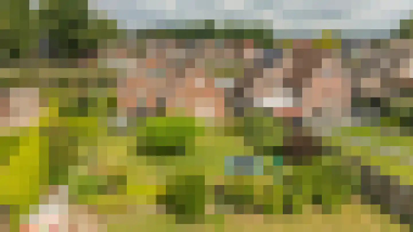 Hoofdkanaal OZ 36 Emmer-Compascuum thumbnail 50