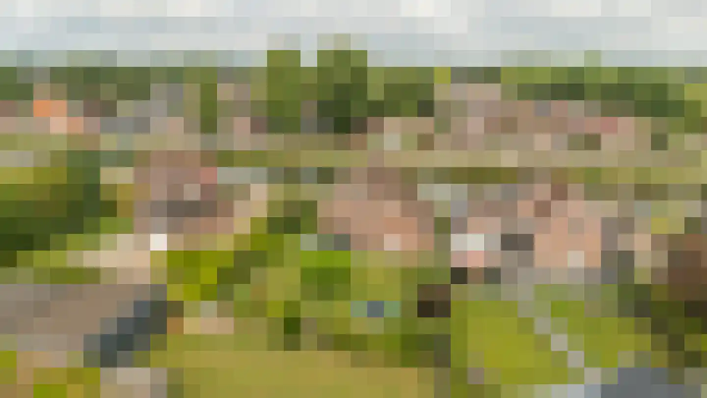 Hoofdkanaal OZ 36 Emmer-Compascuum thumbnail 52